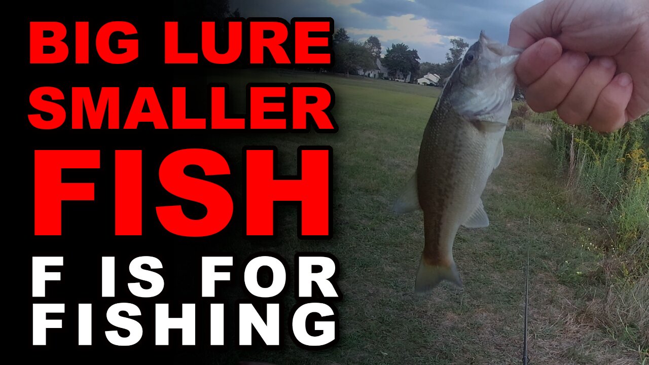 Big Lure Smaller Fish