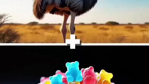 The parrot danced with tiny colorful candies.
