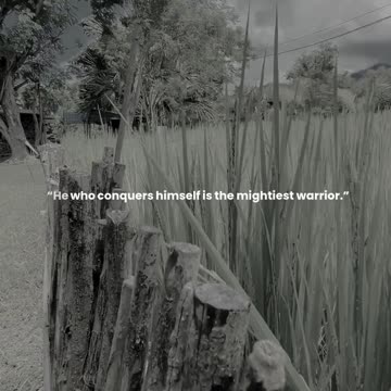 He who conquers himself is the mightiest warrior.