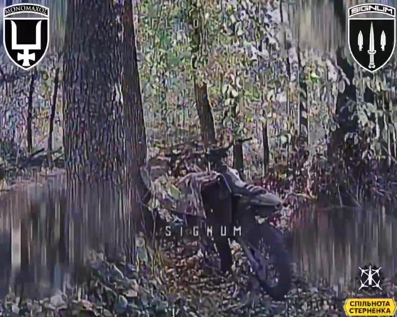 Pilots of the SIGNUM battalion destroyed the occupiers hideouts in the forests