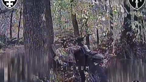 Pilots of the SIGNUM battalion destroyed the occupiers' hideouts in the forests