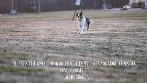 "A dog is the only thing on earth that loves you more than you love yourself."