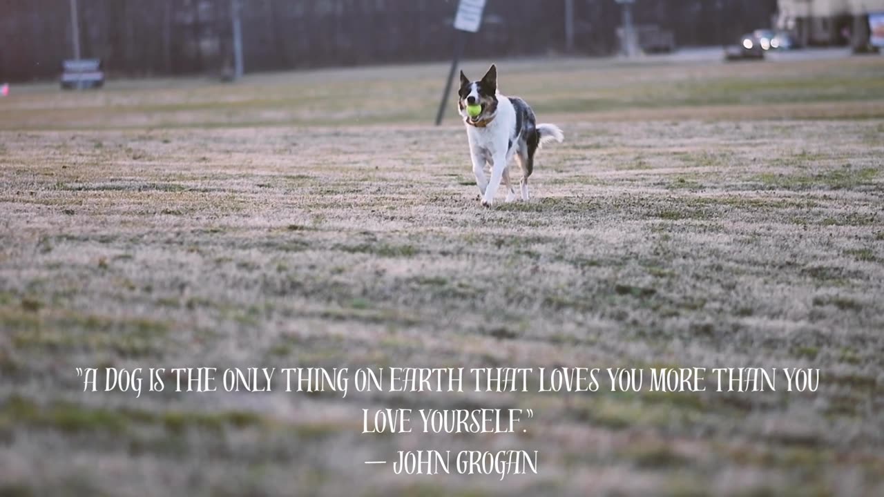 "A dog is the only thing on earth that loves you more than you love yourself."