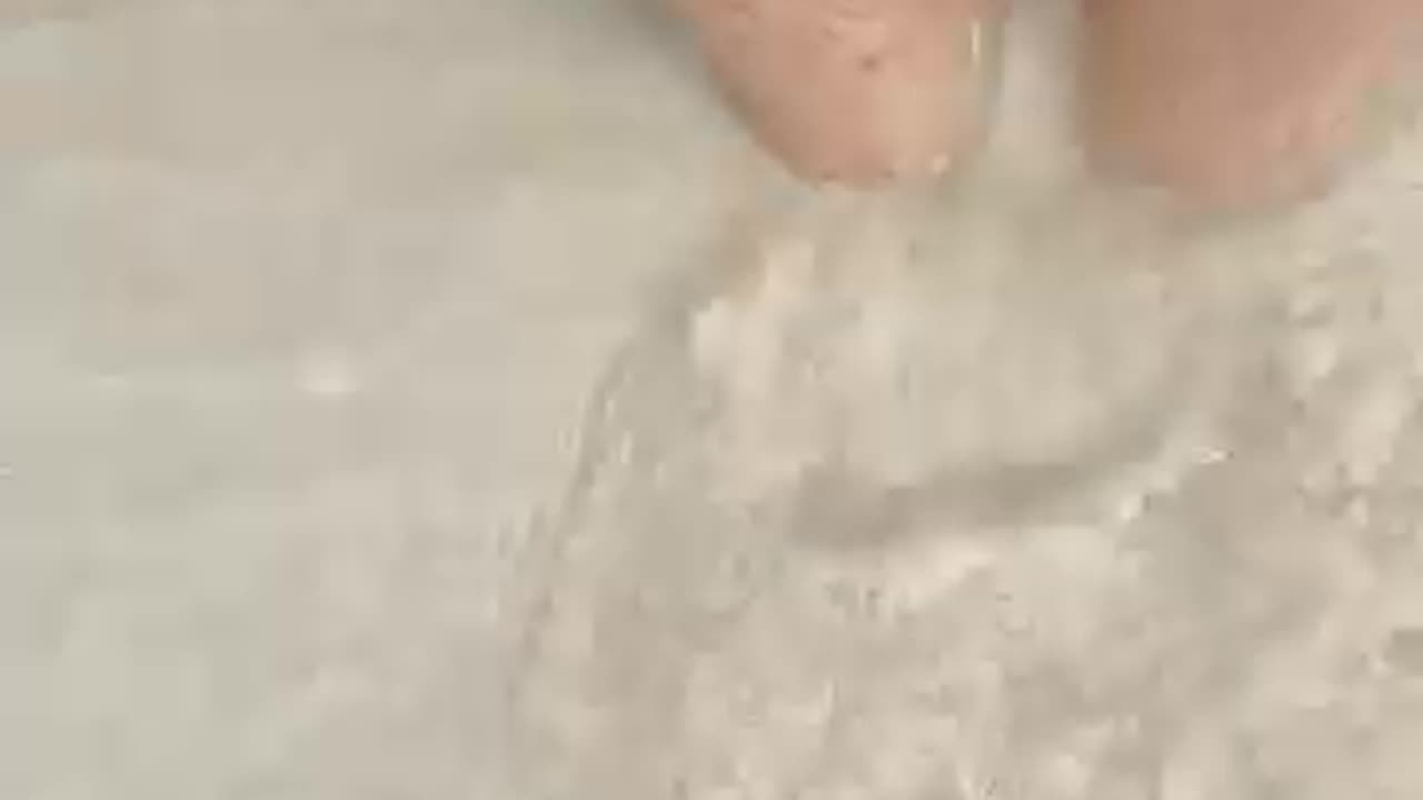 Barefoot Sensory Experience on the Soft Sands of Half Moon Cay, Bahamas