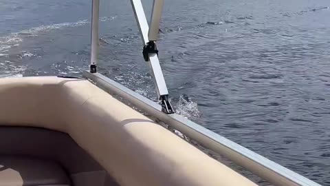 Pontoon ride on Selyava Lake