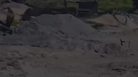 They Tried to Run Home