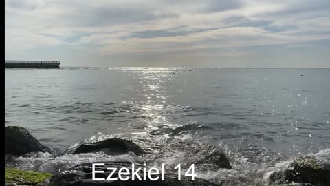 Ezekiel 14