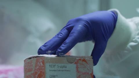 Sarah Khan – Water Testing Strips