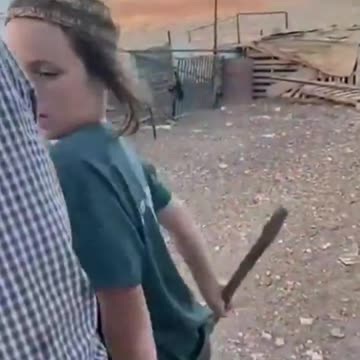 Jews assaulting a Bedouin family near the village of Taybeh