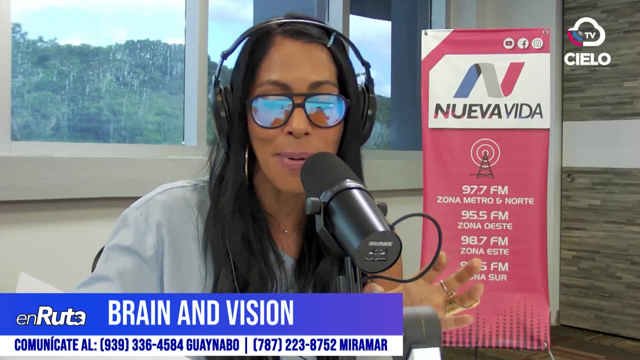 Brain and Vision