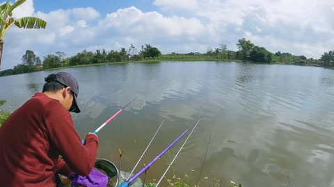 Minnow Trolling in Stream Confluences