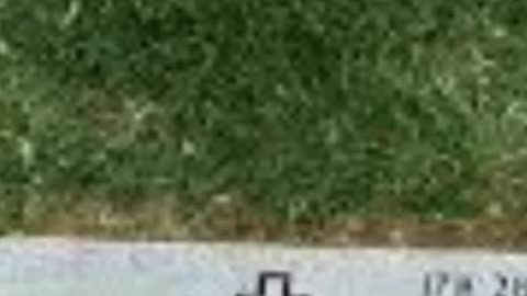 FAMOUS GRAVES - VOL. 499: GLENN MCDUFFIE