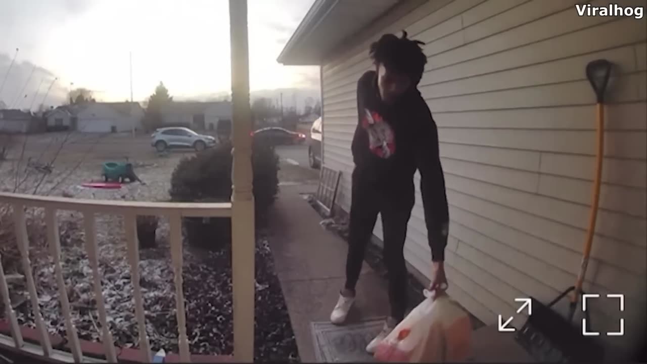The Best Videos Of 2024 (so far)
