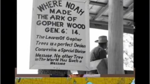 THE WOOD NOAH USED IS “GOPHER” WOOD ONLY FOUND IN AMERICA “NO OTHER PLACE ON EARTH HAS THESE TREES”