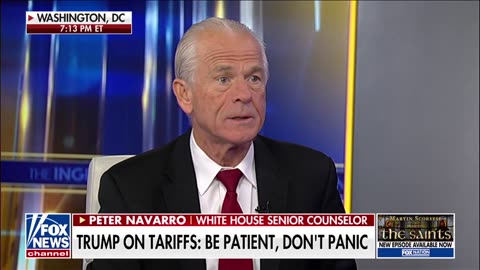 Peter Navarro to investors: Don't panic