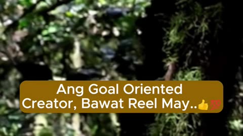 Ang Goal Oriented Creator