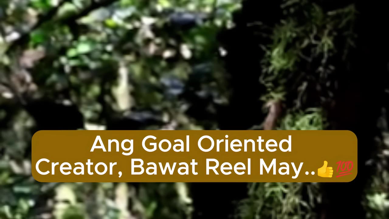 Ang Goal Oriented Creator
