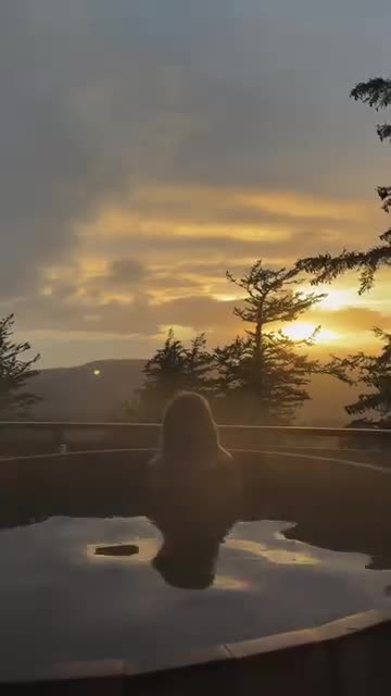 Merry Christmas 2025 ☃️❄️🌲🎅🏻