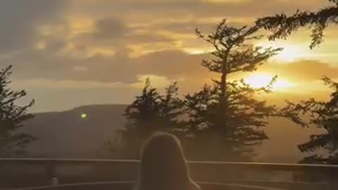 Merry Christmas 2025 ☃️❄️🌲🎅🏻