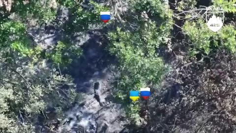 ⚔️🇺🇦 Ukraine Russia War | Ukrainian 425th Brigade Captures Russian POWs Near Pokrovsk | RCF