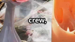 Tragic Helicopter Crash in Tennessee: What Happened