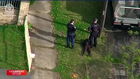 Crime gangs recruiting teens for violent crimes A Current Affair