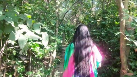 প্রকৃতির কোলে এক শান্ত বিকেল – জিন্দা পার্কের গল্প 🌳❤️