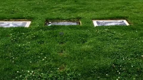 FAMOUS GRAVES - VOL. 374: TRAVIS ALEXANDER