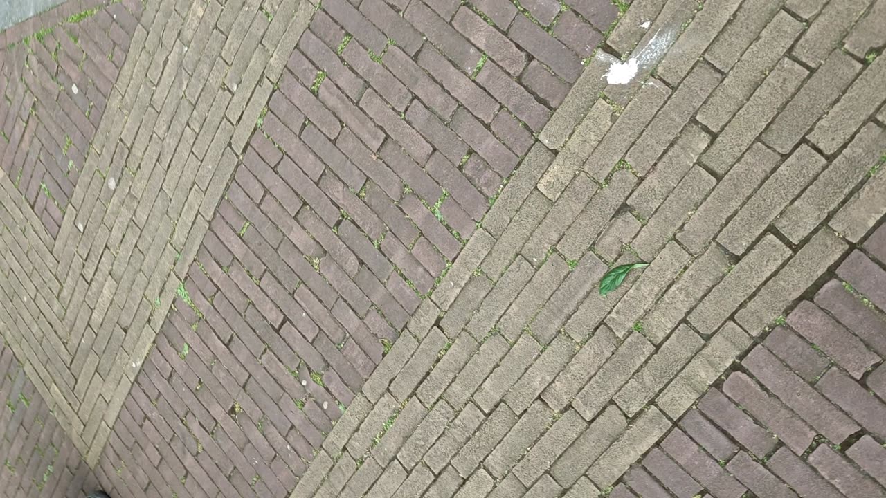 Pim Fortuynherdenking 6 mei 2025 08/13