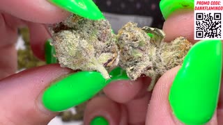 Trying 3 Ounces from Lit Farms with Mrs Dank Flamingo!!