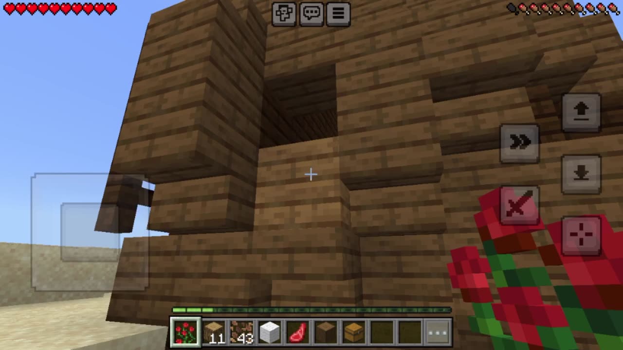 MineCraft JaneMare World Ep1