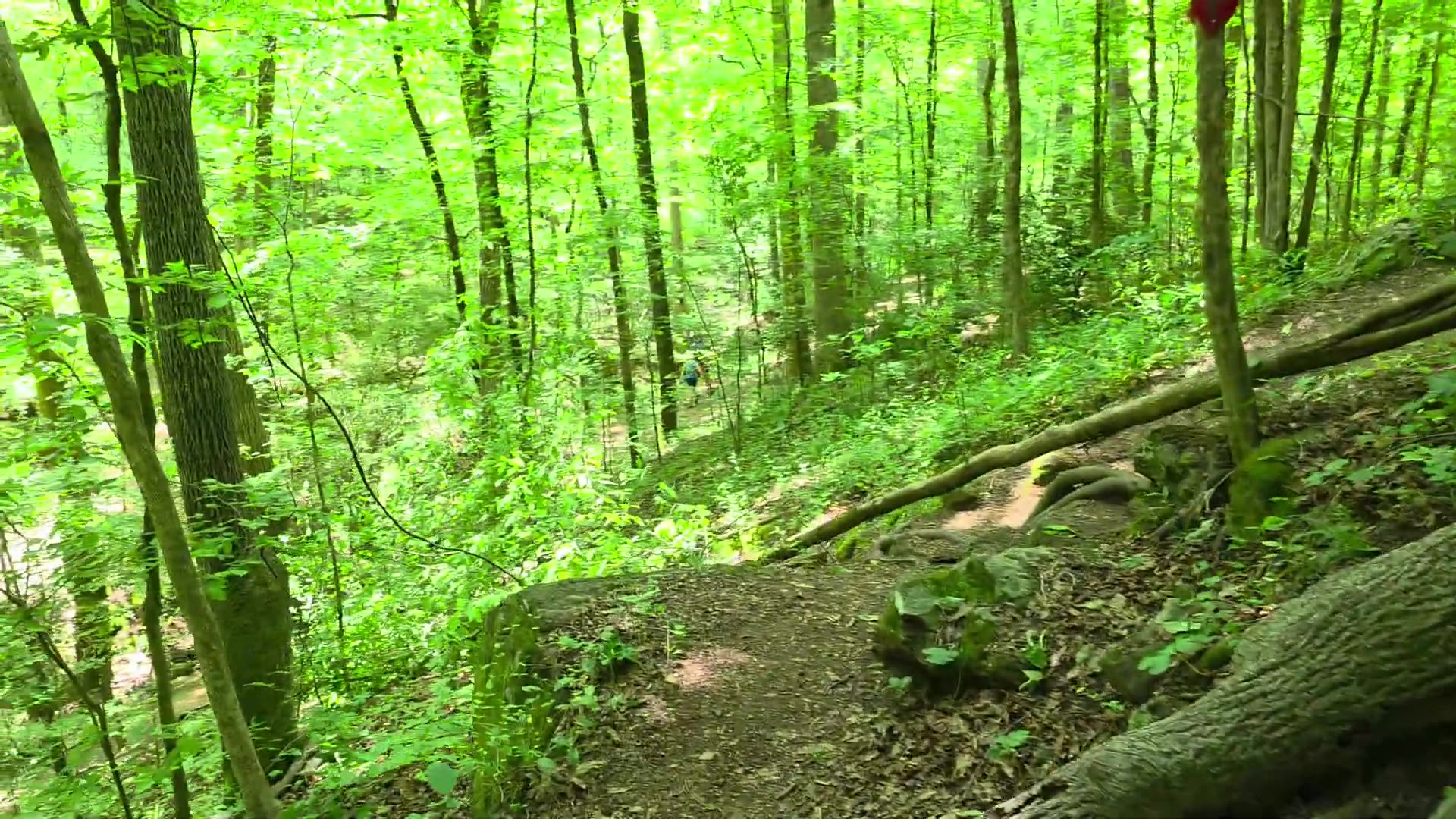 [2025-05-16] Emergency Preparedness In American Society