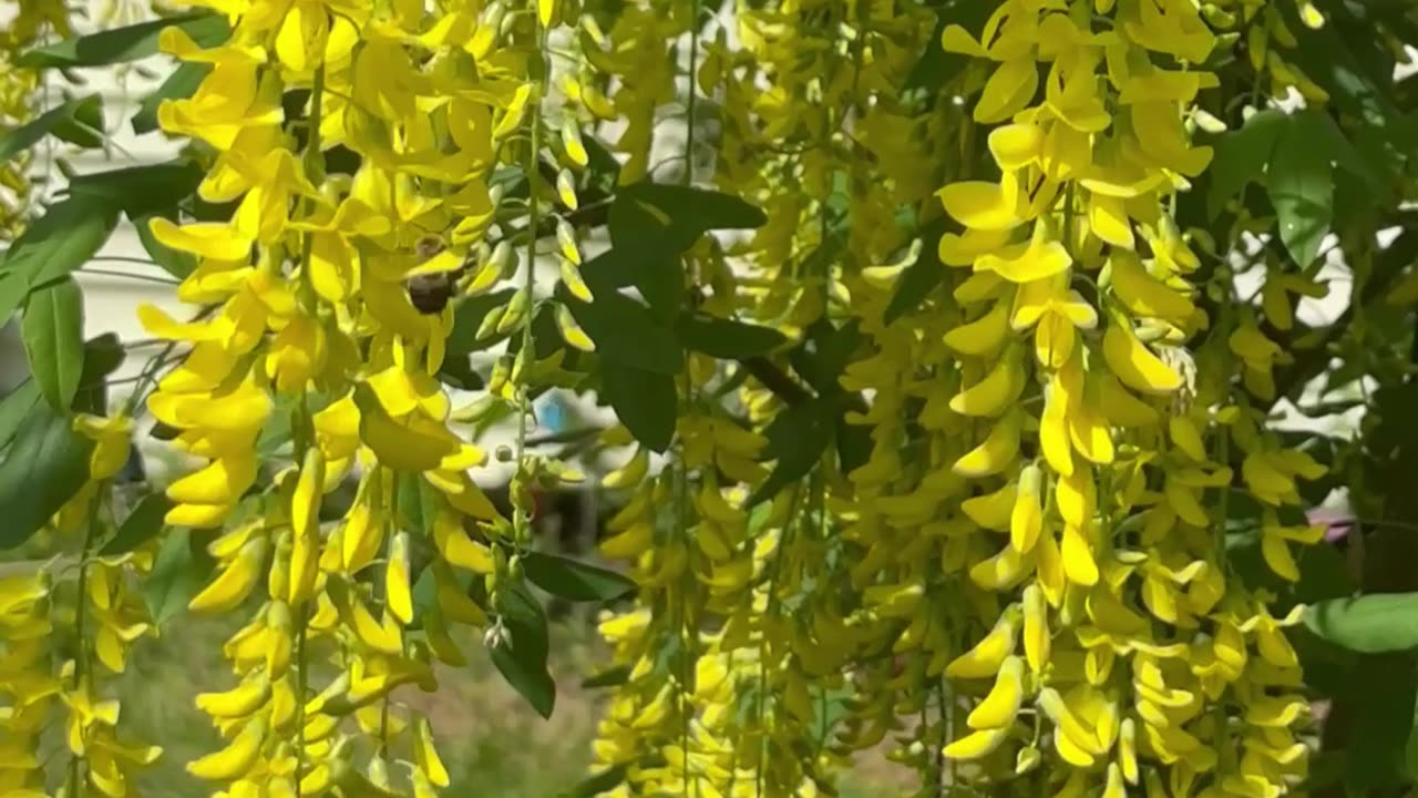 Be Humble and Open Minded