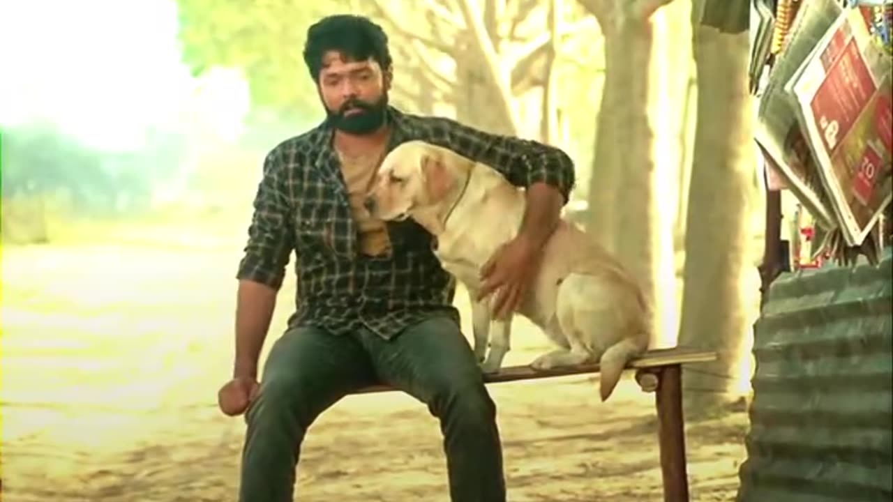 Dog lover ❤️‍🩹