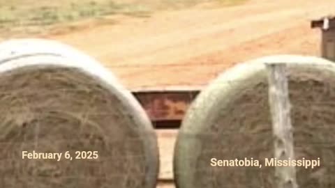 SHOT TO PIECES - VOL. 428: 2 UNIDENTIFIED PEOPLE DIE IN A MURDER-SUICIDE