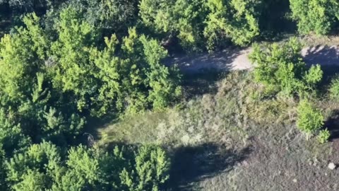 Russian soldiers escorting Ukrainian POWs in the Serebryansky forest north of Siversk
