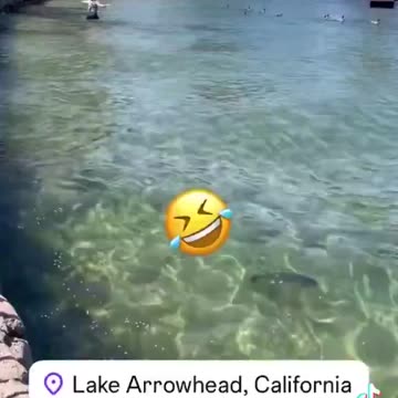 Liberalė neleidžia antims daugintis.