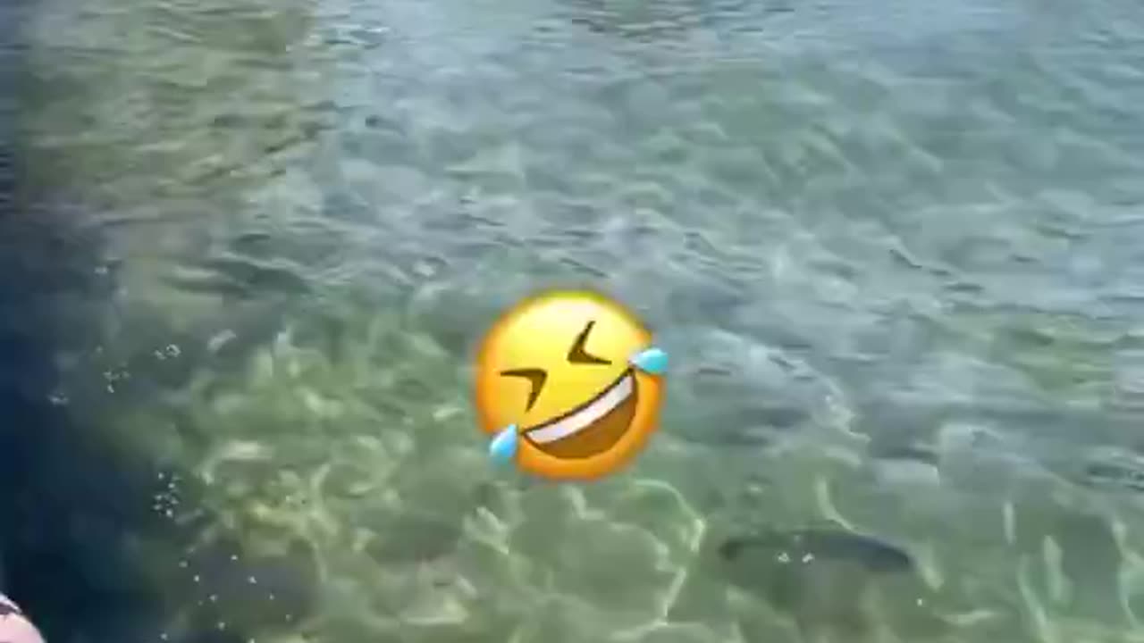 Liberalė neleidžia antims daugintis.