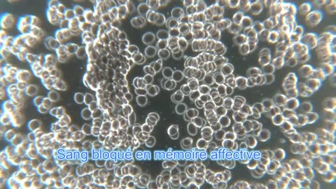 Retour vers le Moi du futur