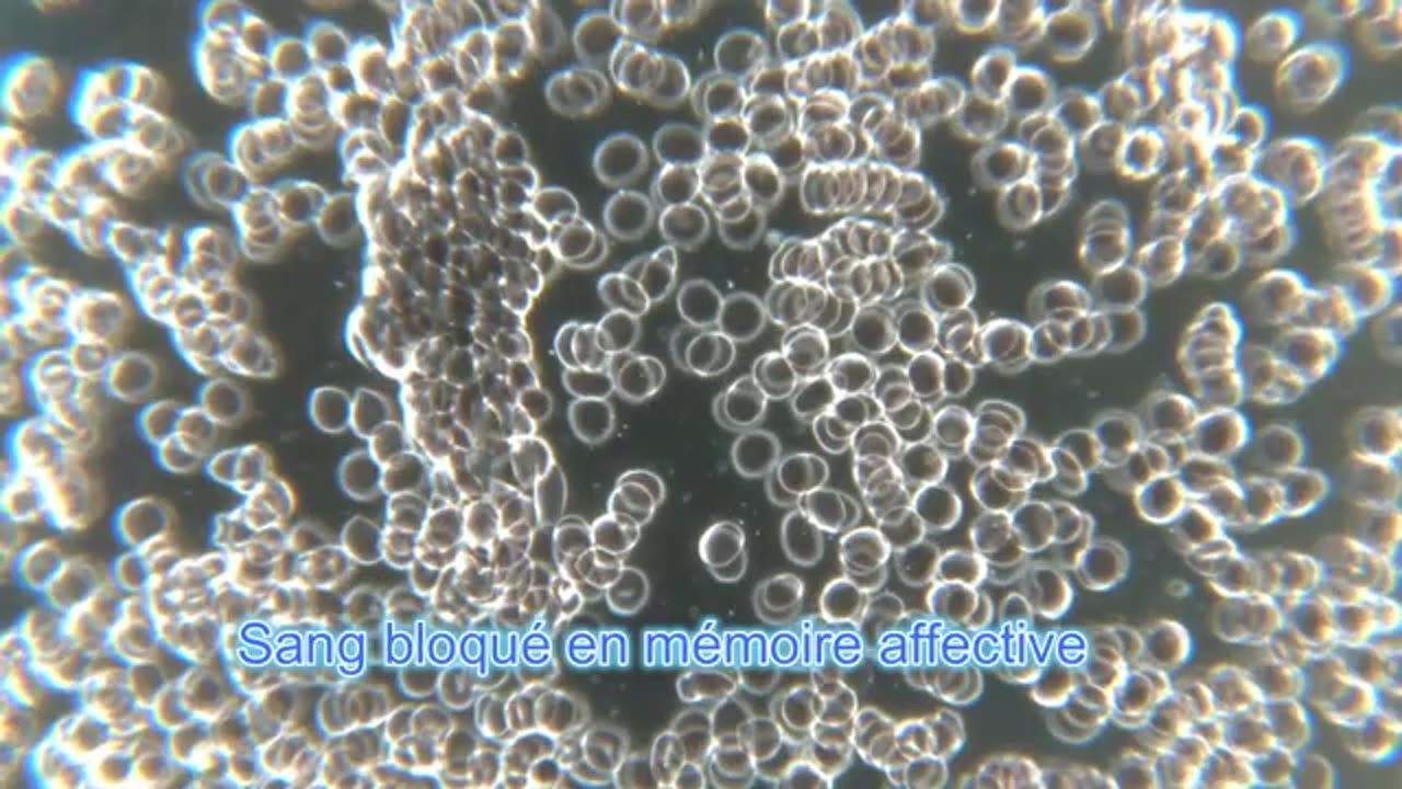 Retour vers le Moi du futur