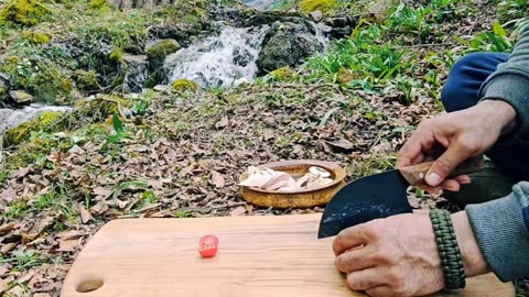 Wild Handcrafted Pizza Cheesy Bliss in Nature’s Secret Kitchen