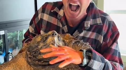 "Man Pretends to Get Bit by Turtle – Too Real!" 🐊🐢🎭