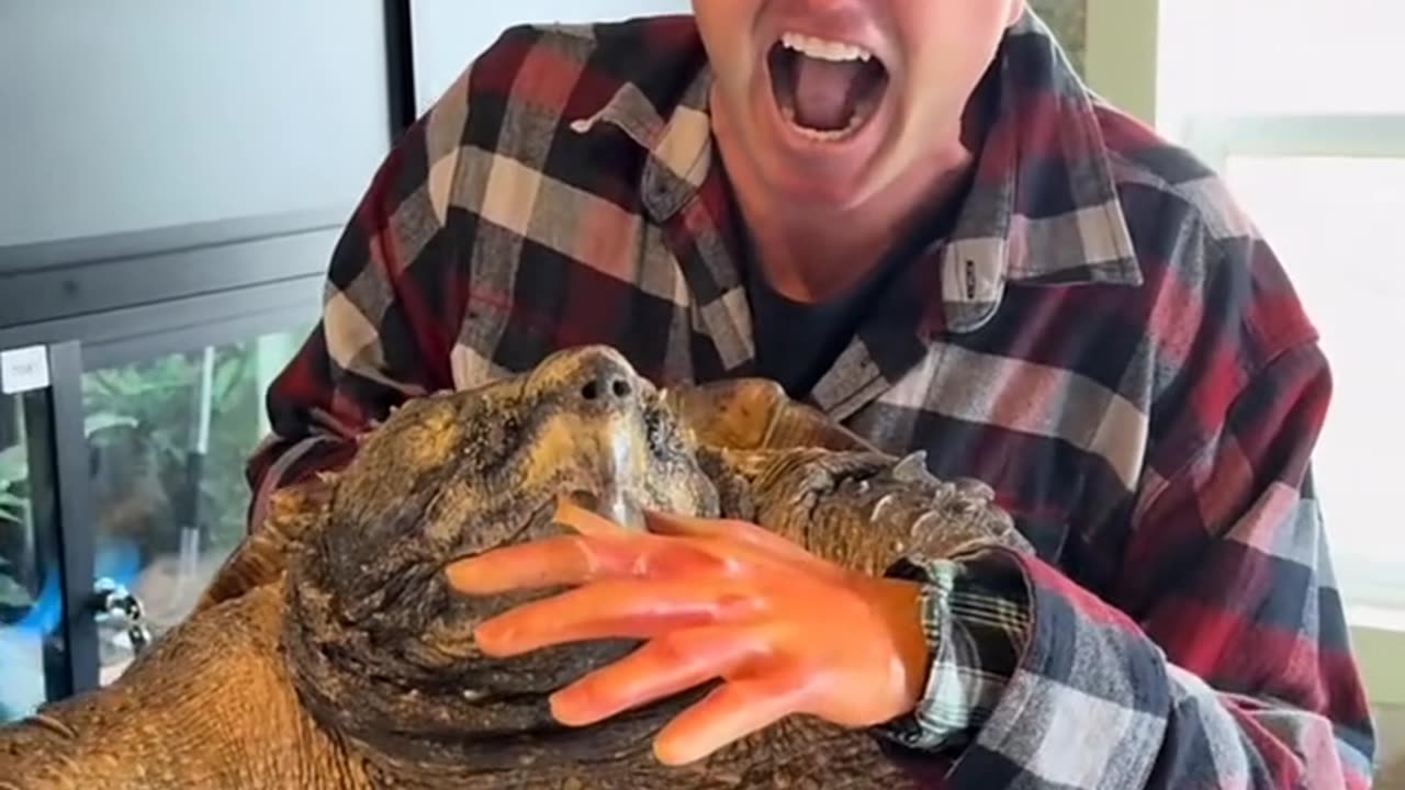 "Man Pretends to Get Bit by Turtle – Too Real!" 🐊🐢🎭