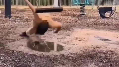 Funny video