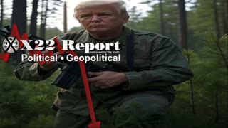 X22 Report: D’s In A Deep Panic,Trump Sets The Stage For The Midterms .......