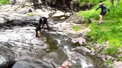 Cute dog's comedy Videos 🤣 so cute videos 😍 funny videos 🤣