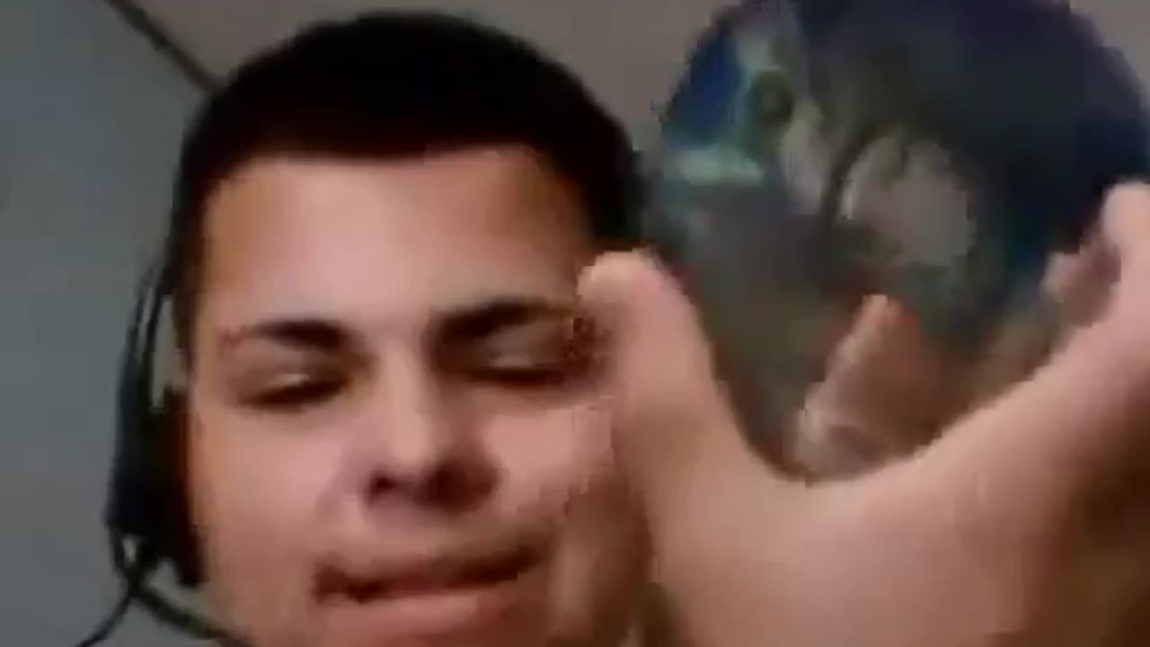 Chad Warden RESPONSE VIDEO BALLLIIIN