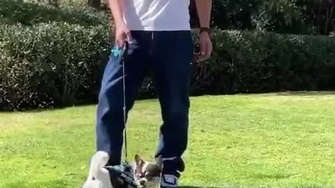 sdsdsd