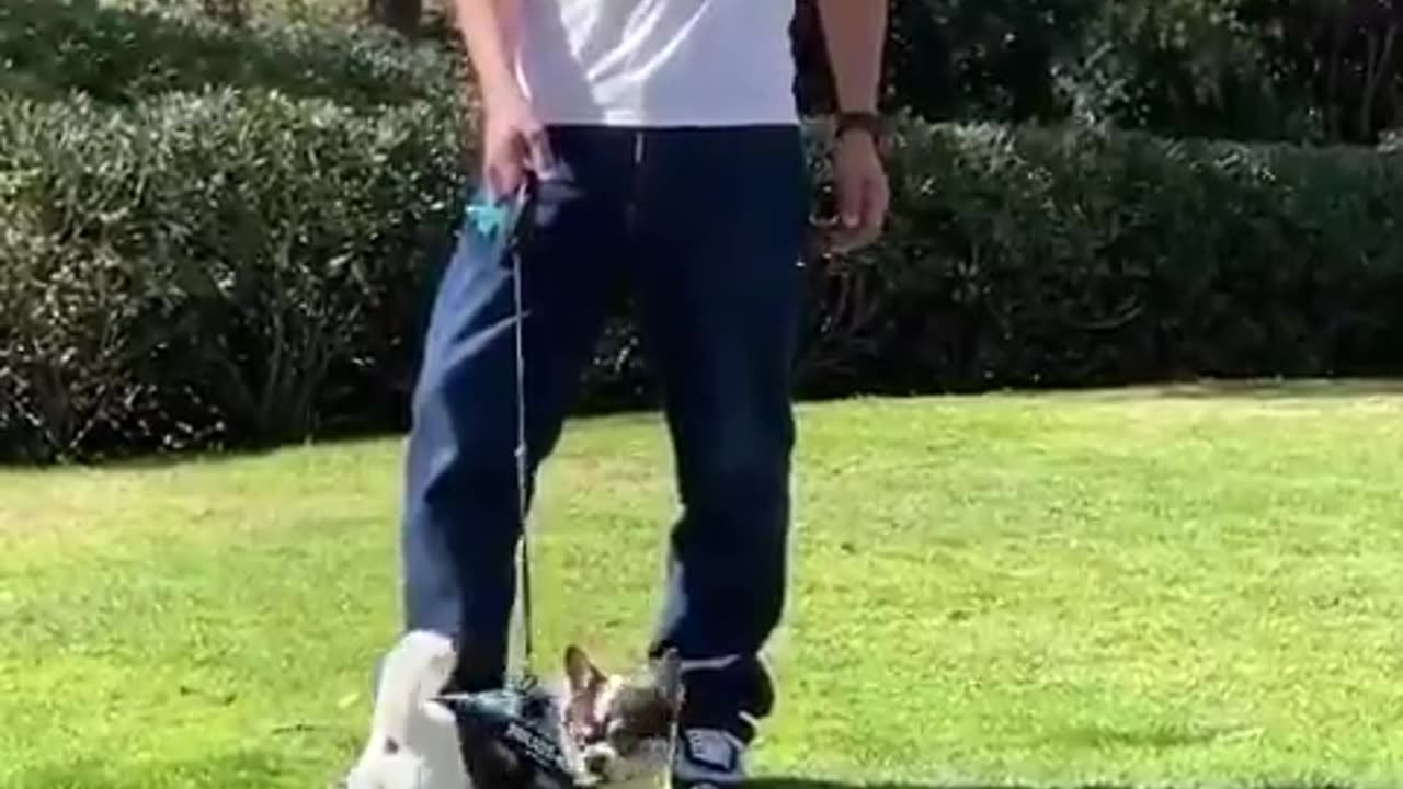 sdsdsd