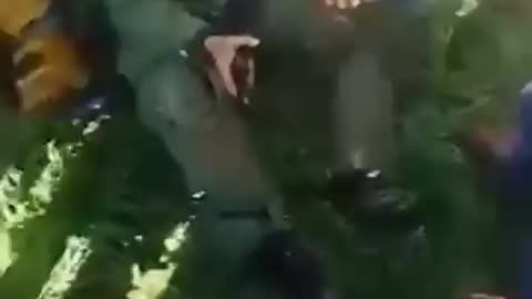 ভারতীয় বিমান বাহিনীর একজন সেনা কট!